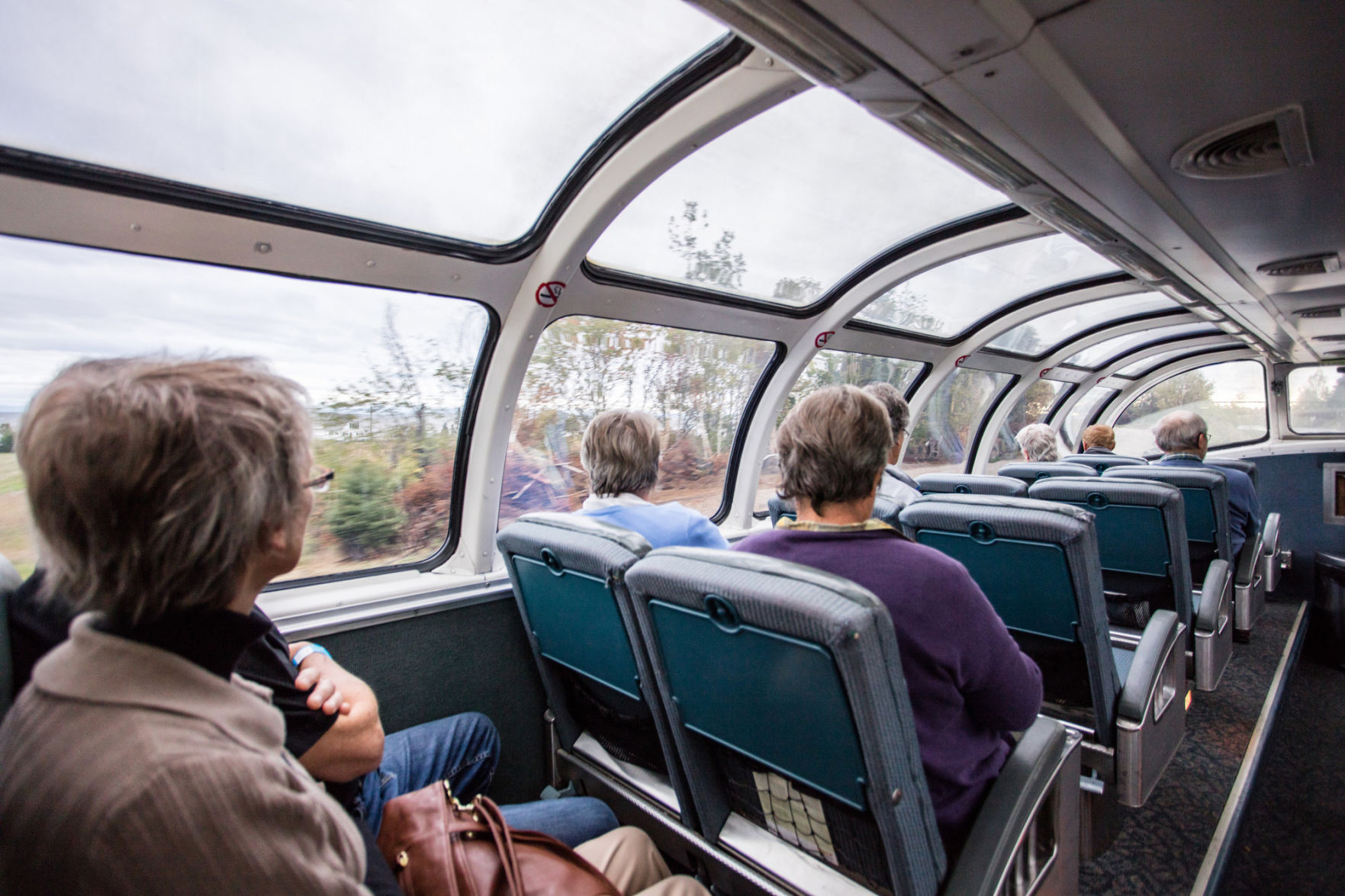 Taking in the view from a Skyline Dome car.